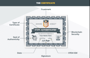 STEM.org Certification